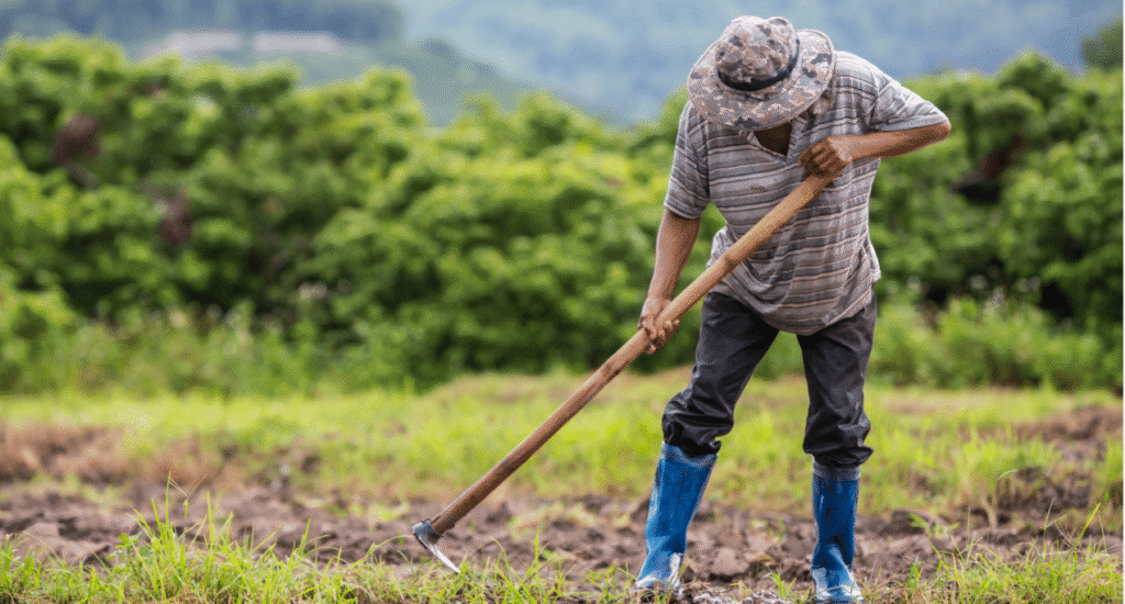 Dia do Agricultor